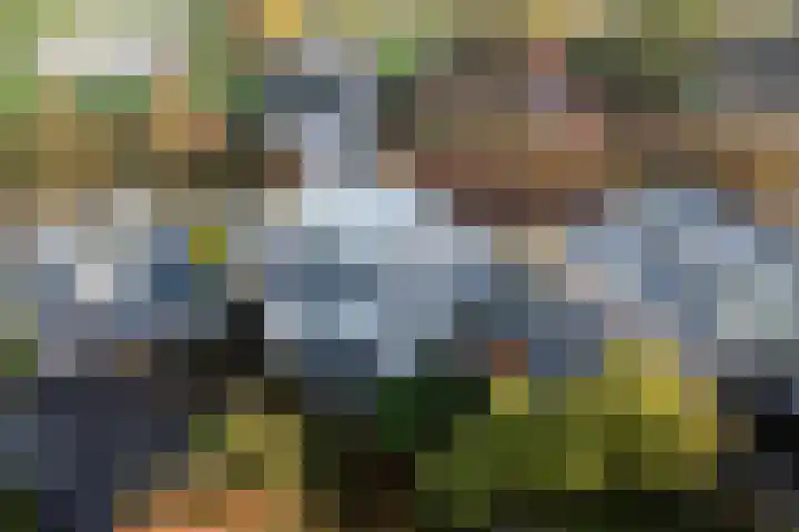 Bûtenwei 10 Moarre thumbnail 62