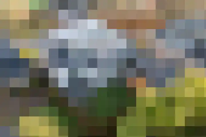 Bûtenwei 10 Moarre thumbnail 63