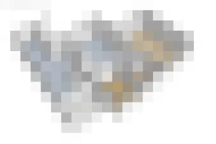 Bûtenwei 10 Moarre thumbnail 68