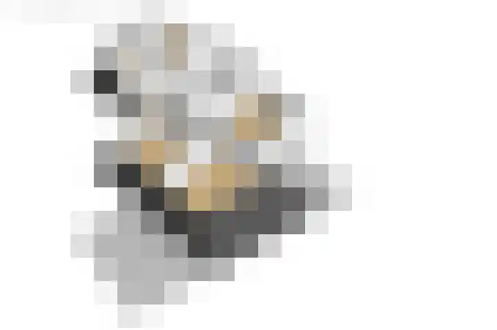 Bûtenwei 10 Moarre thumbnail 78