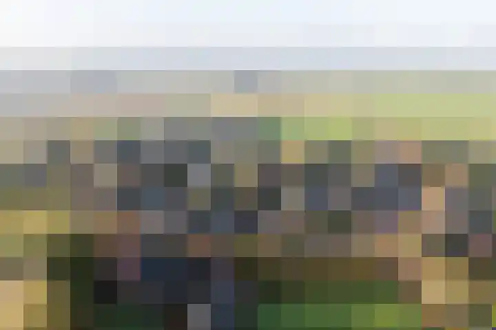 Bûtenwei 10 Moarre thumbnail 8