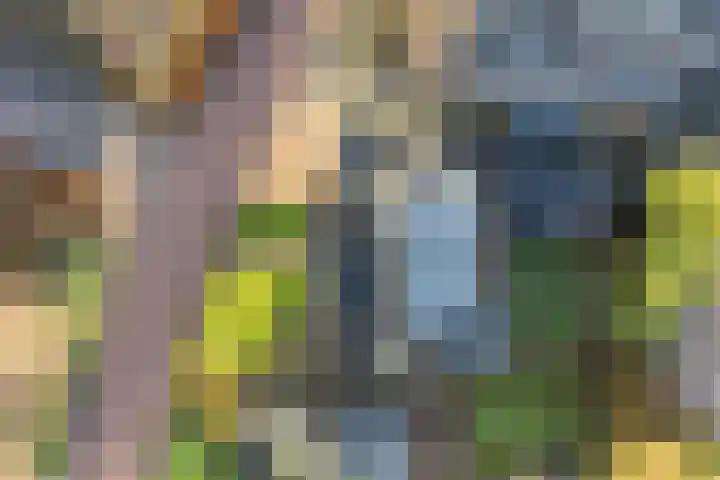 Bûtenwei 10 Moarre thumbnail 9