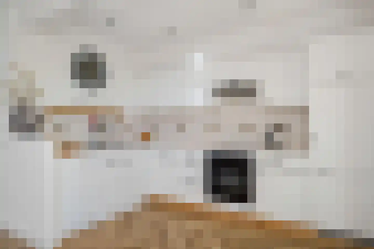 Bûterblom-strjitte 20 Kootstertille thumbnail 15