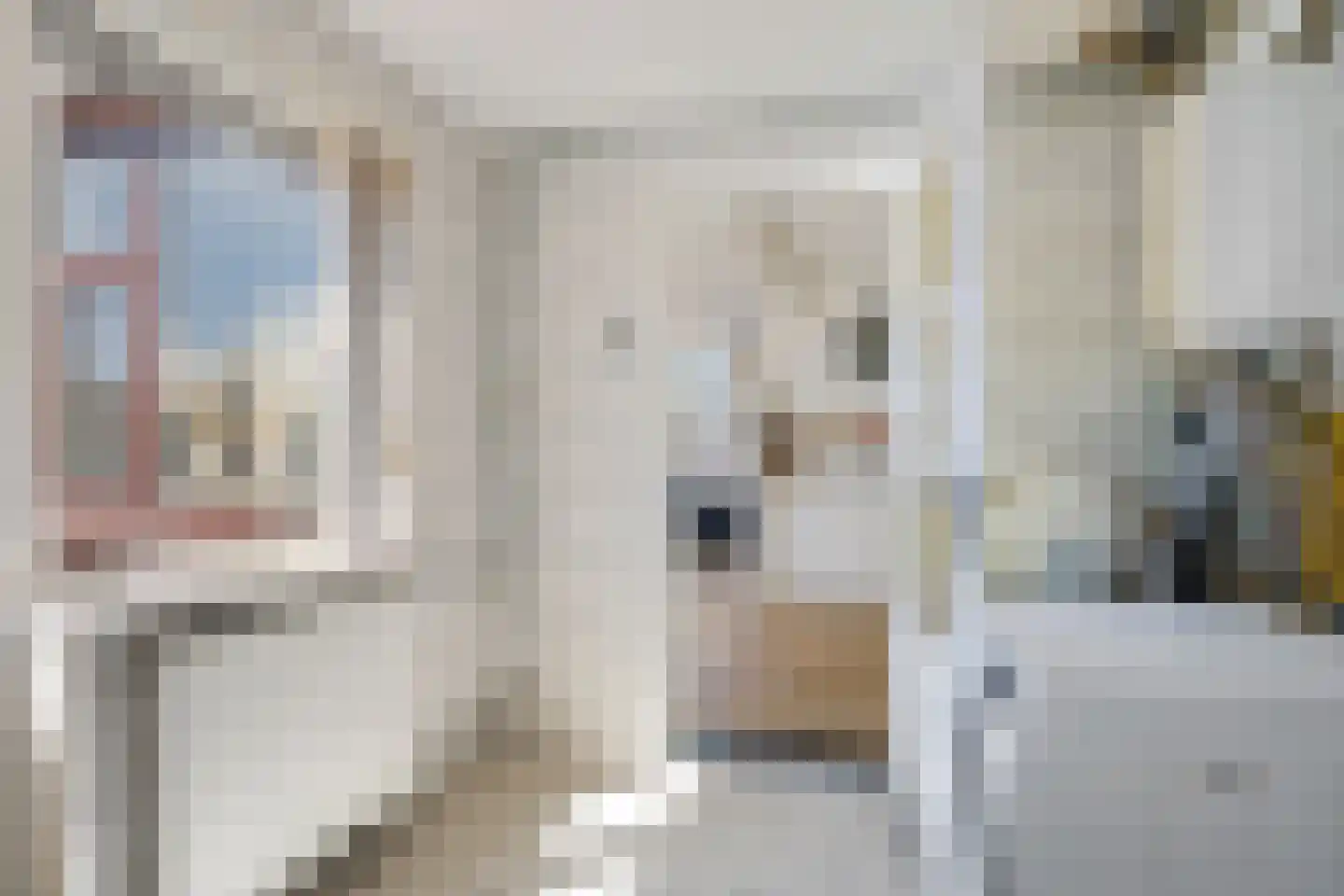 Bûterblom-strjitte 20 Kootstertille thumbnail 19