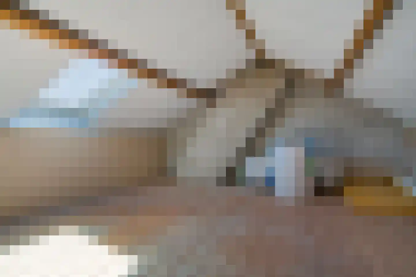 Bûterblom-strjitte 20 Kootstertille thumbnail 28