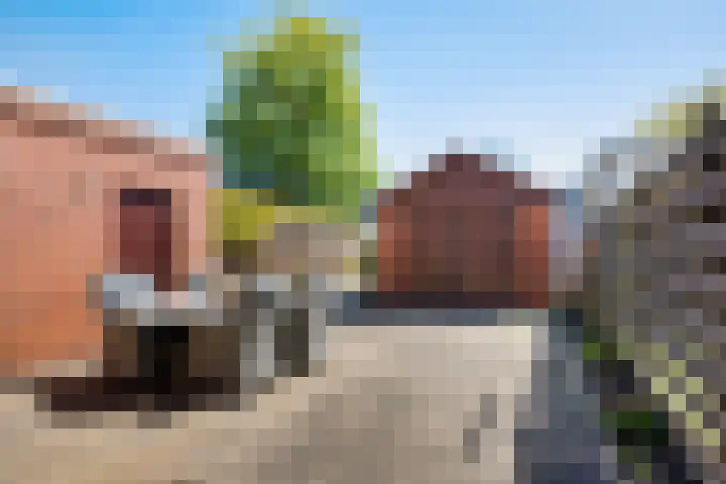 Bûterblom-strjitte 20 Kootstertille thumbnail 29