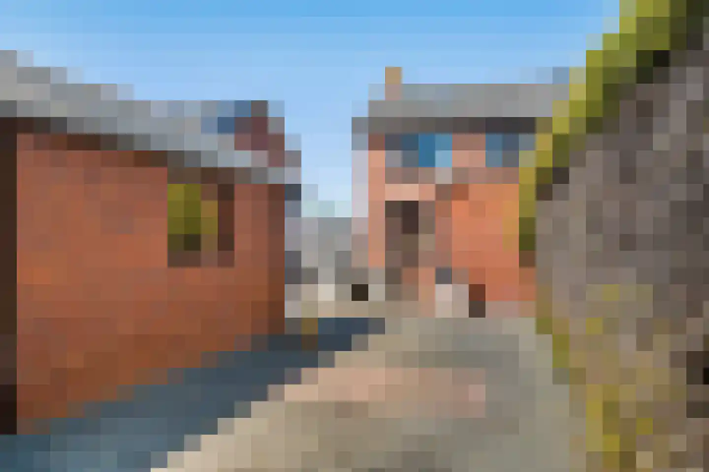 Bûterblom-strjitte 20 Kootstertille thumbnail 34