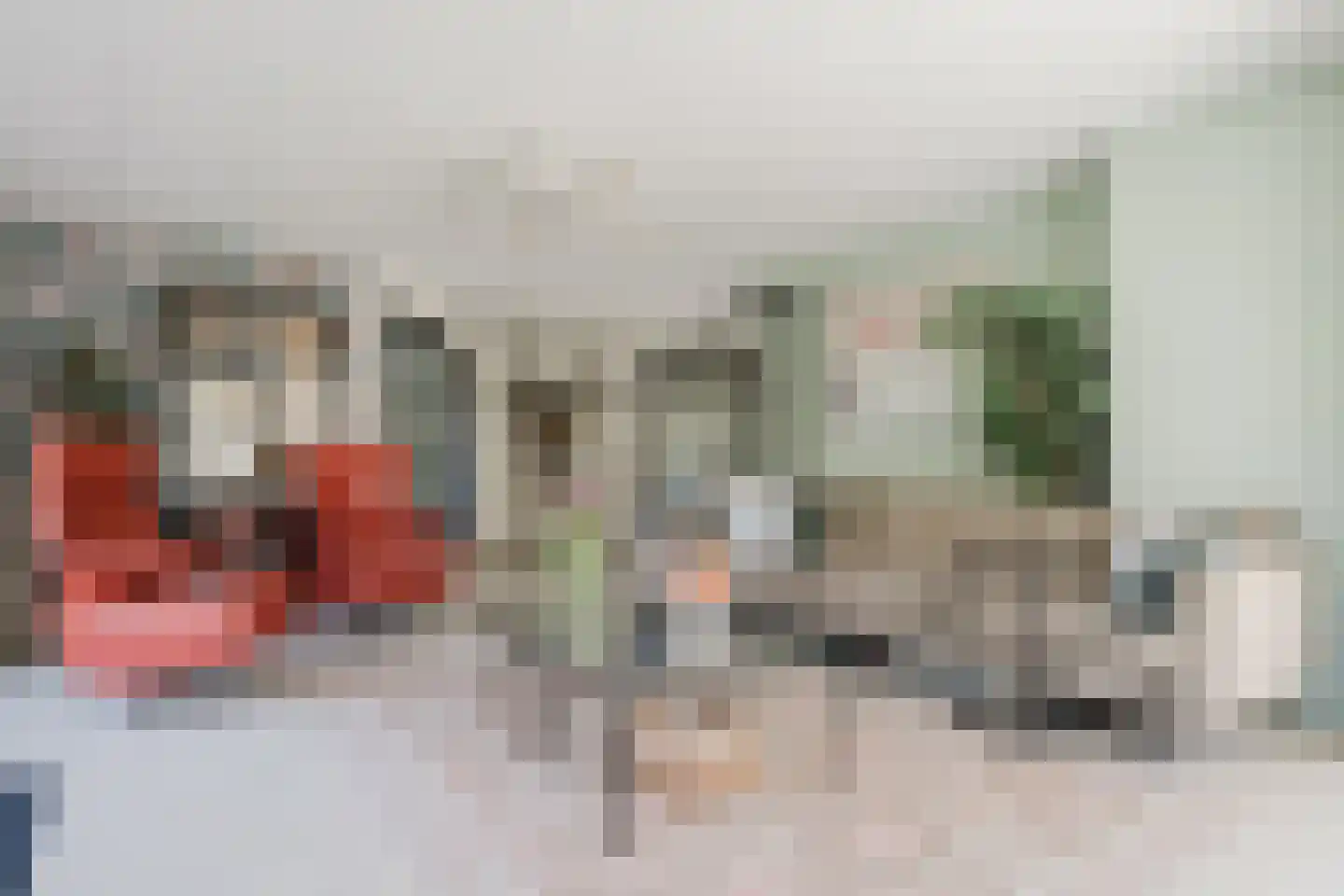 Bûtergêrs 7 Gorredijk thumbnail 12