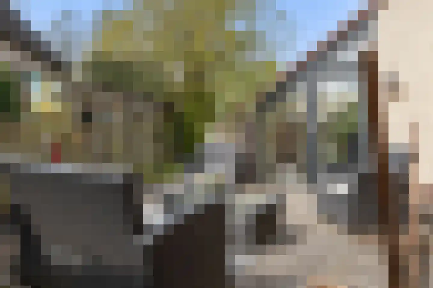 Bûtergêrs 7 Gorredijk thumbnail 15
