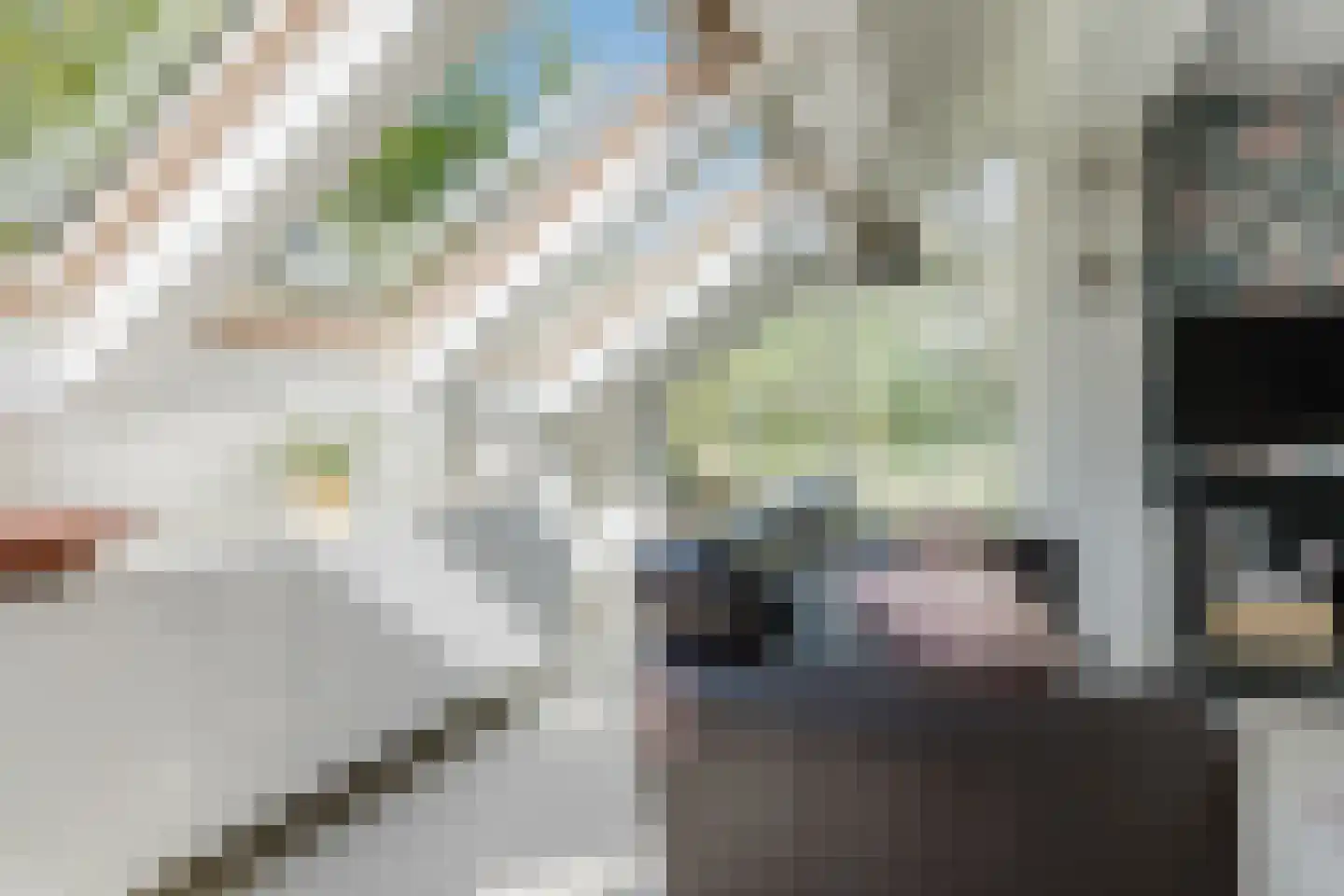 Bûtergêrs 7 Gorredijk thumbnail 16