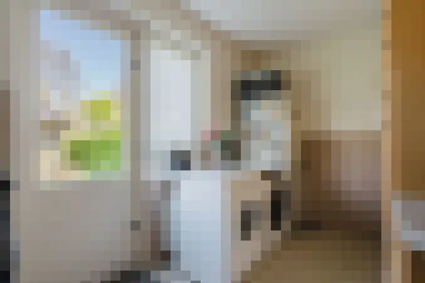 Bûtergêrs 7 Gorredijk thumbnail 26