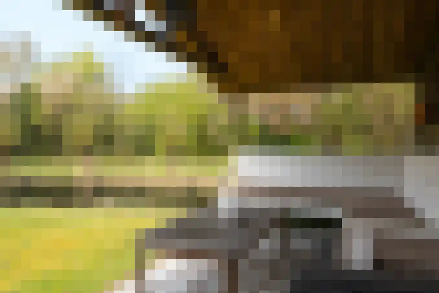 Bûtergêrs 7 Gorredijk thumbnail 28