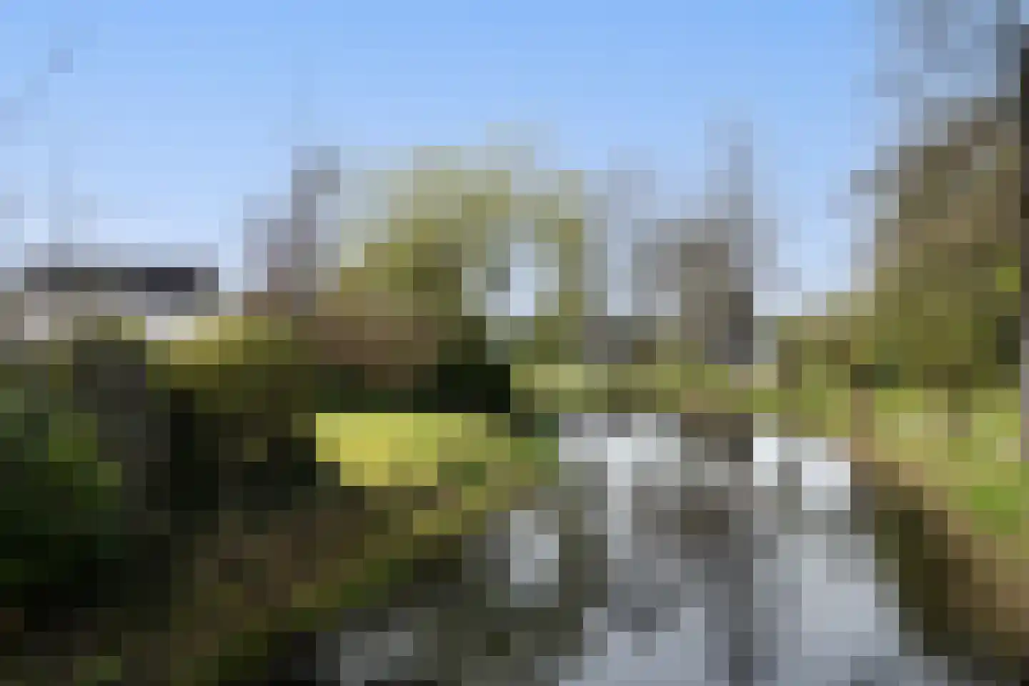 Bûtergêrs 7 Gorredijk foto 3