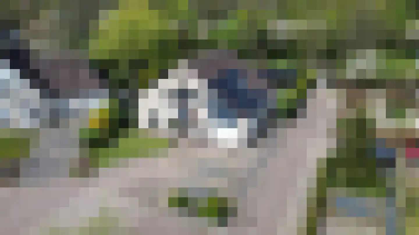 Bûtergêrs 7 Gorredijk thumbnail 4