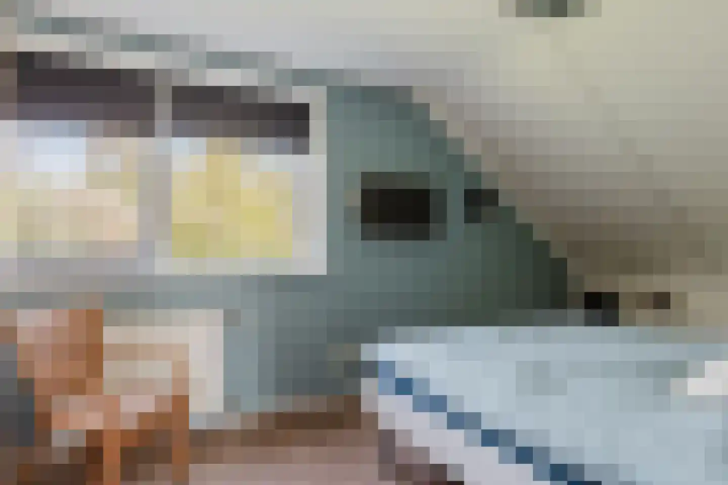 Bûtergêrs 7 Gorredijk thumbnail 42