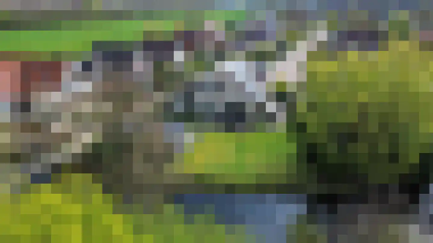 Bûtergêrs 7 Gorredijk thumbnail 47