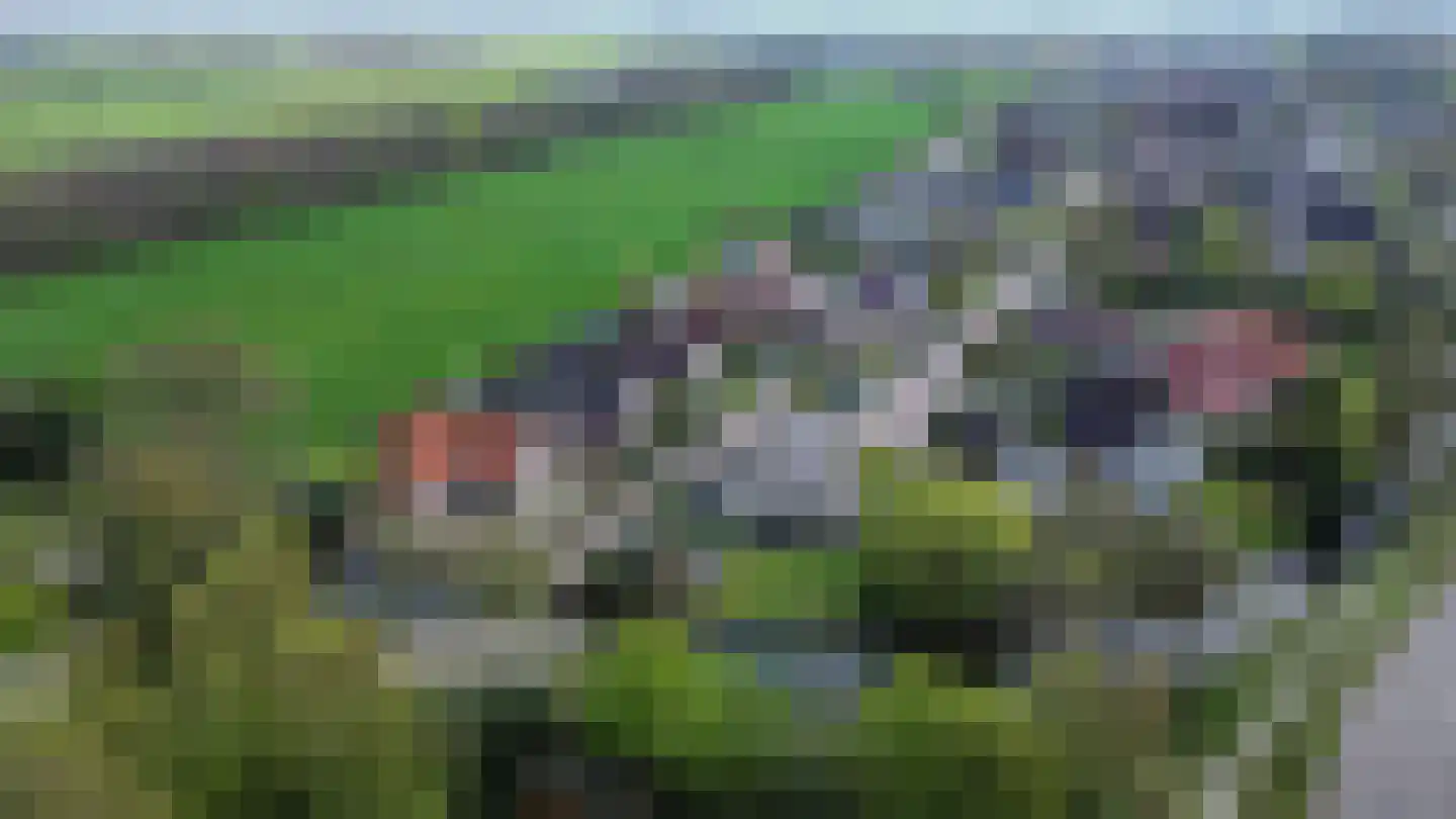 Bûtergêrs 7 Gorredijk thumbnail 48