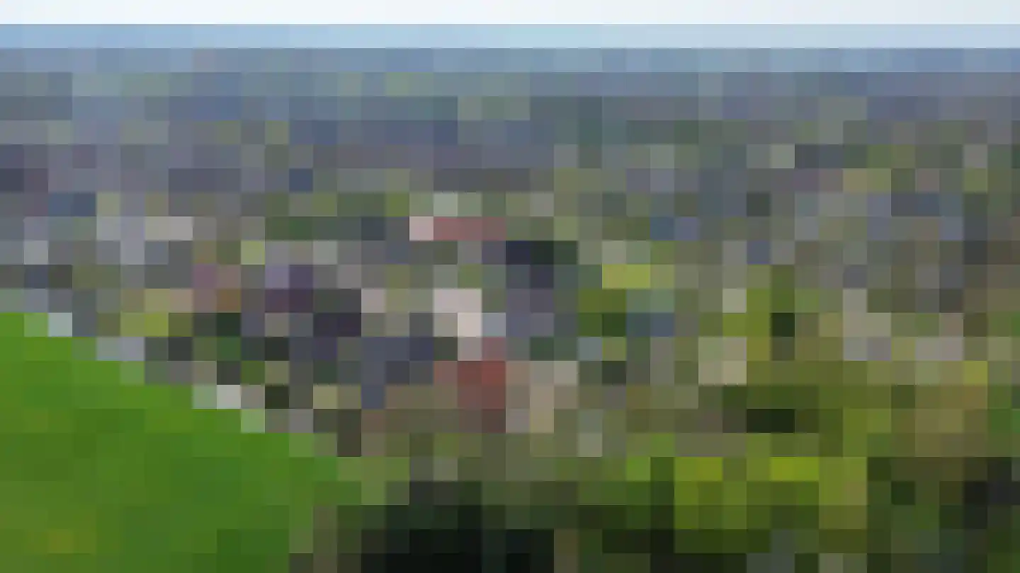 Bûtergêrs 7 Gorredijk thumbnail 49
