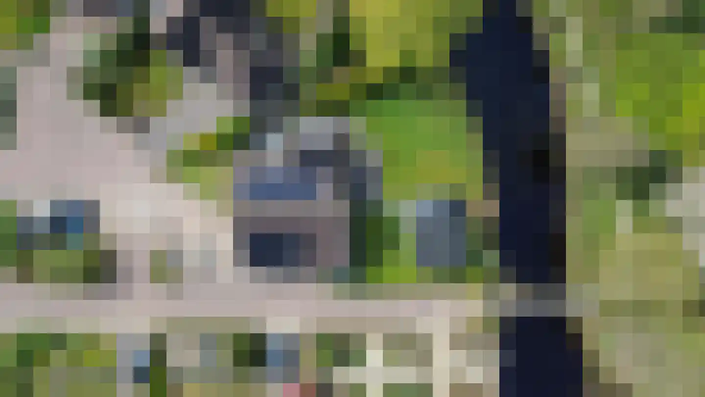 Bûtergêrs 7 Gorredijk thumbnail 50