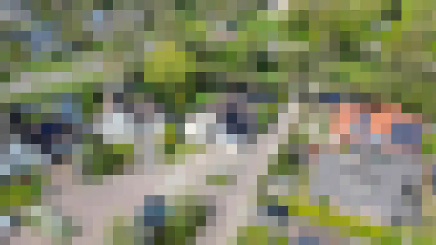 Bûtergêrs 7 Gorredijk thumbnail 51