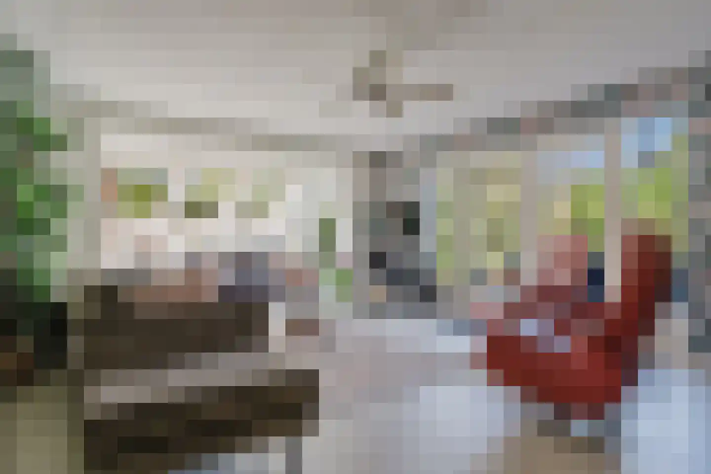 Bûtergêrs 7 Gorredijk thumbnail 8