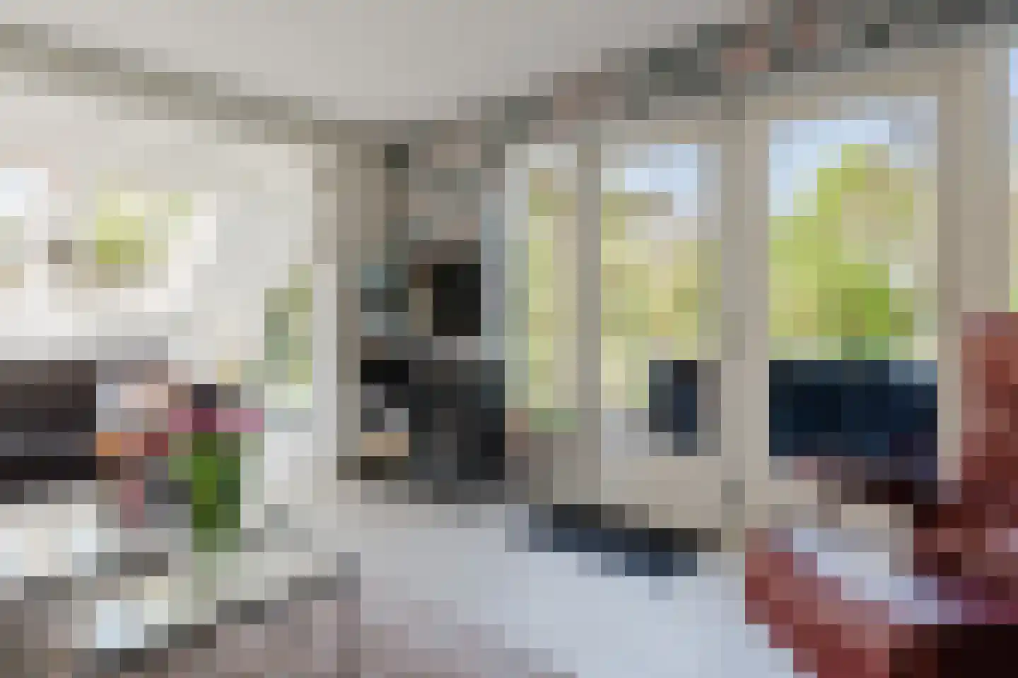 Bûtergêrs 7 Gorredijk thumbnail 9