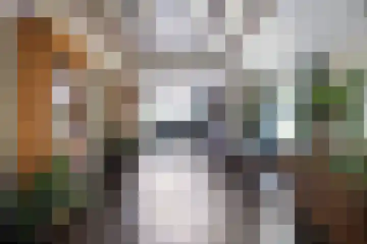 Bûterheideveld 27 Makkinga thumbnail 14