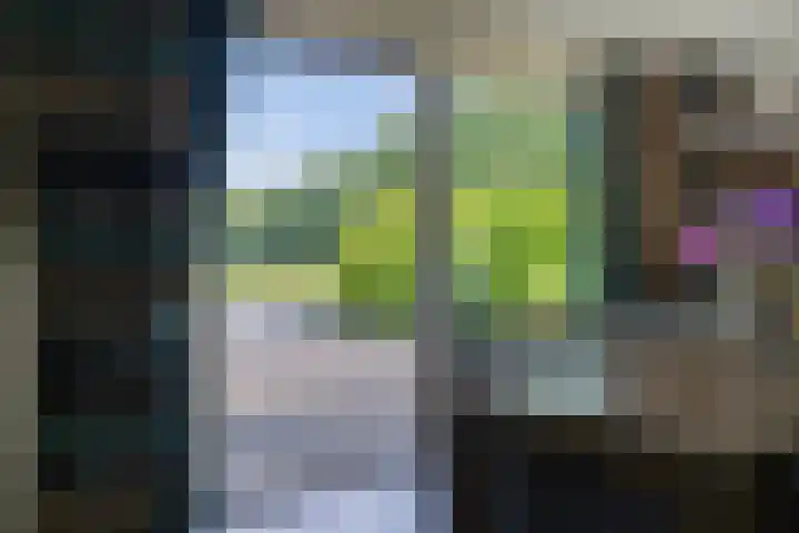 Bûterheideveld 27 Makkinga thumbnail 16