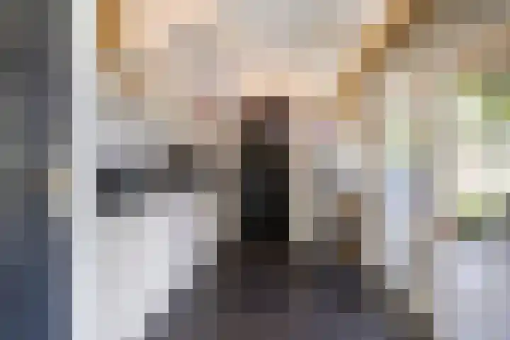 Bûterheideveld 27 Makkinga thumbnail 19