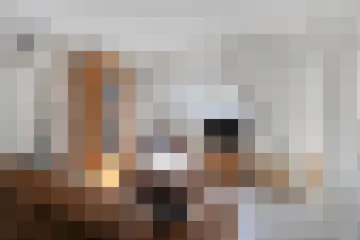 Bûterheideveld 27 Makkinga thumbnail 29