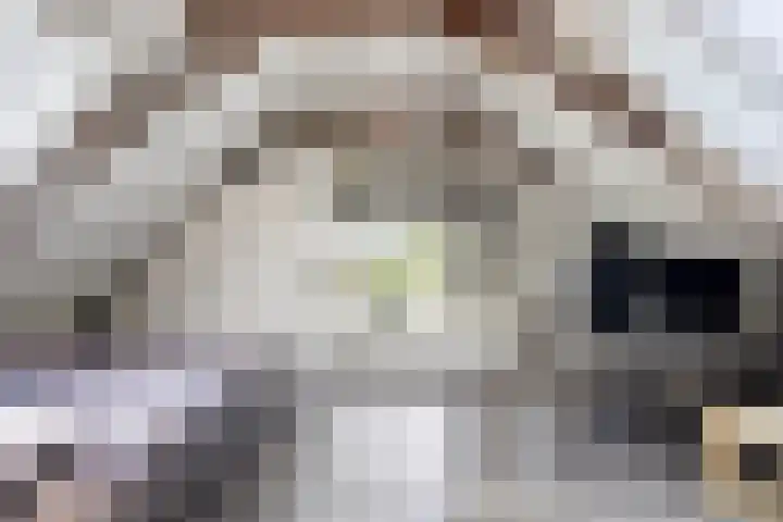 Bûterheideveld 27 Makkinga thumbnail 31