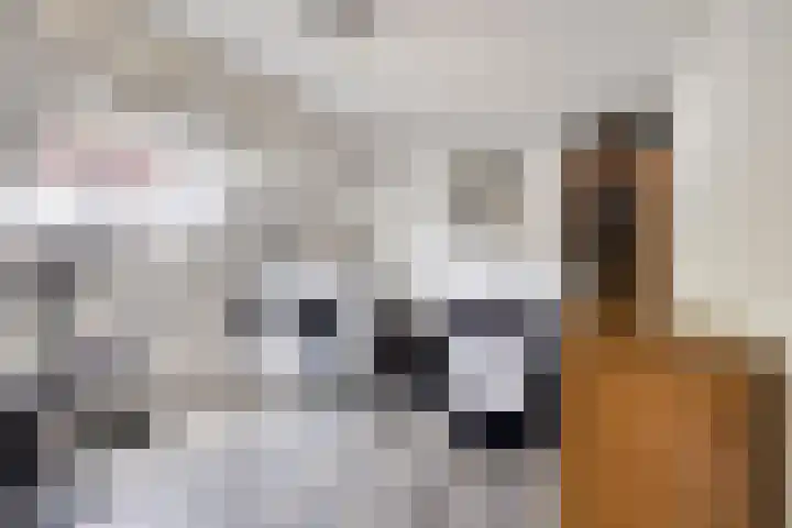 Bûterheideveld 27 Makkinga thumbnail 32
