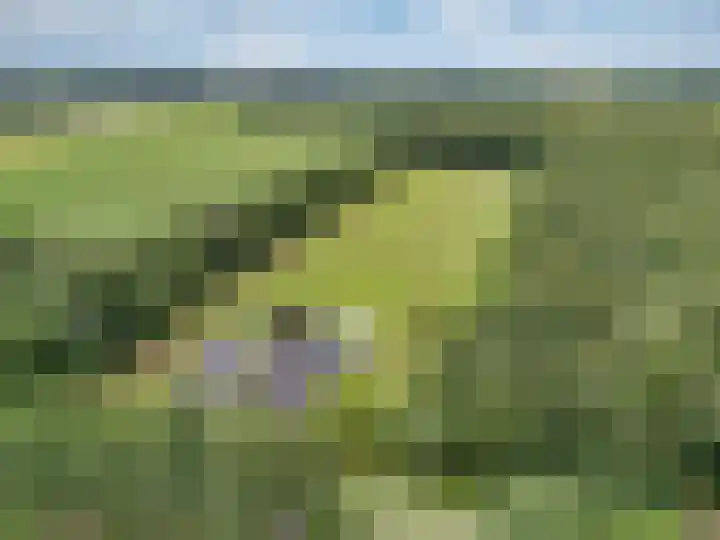 Bûterheideveld 27 Makkinga thumbnail 4