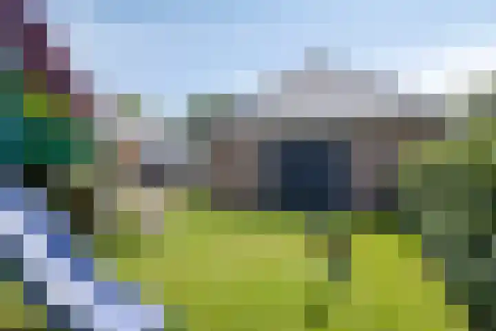 Bûterheideveld 27 Makkinga thumbnail 41