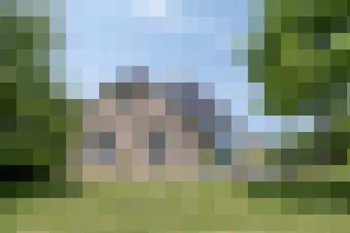 Bûterheideveld 27 Makkinga thumbnail 44