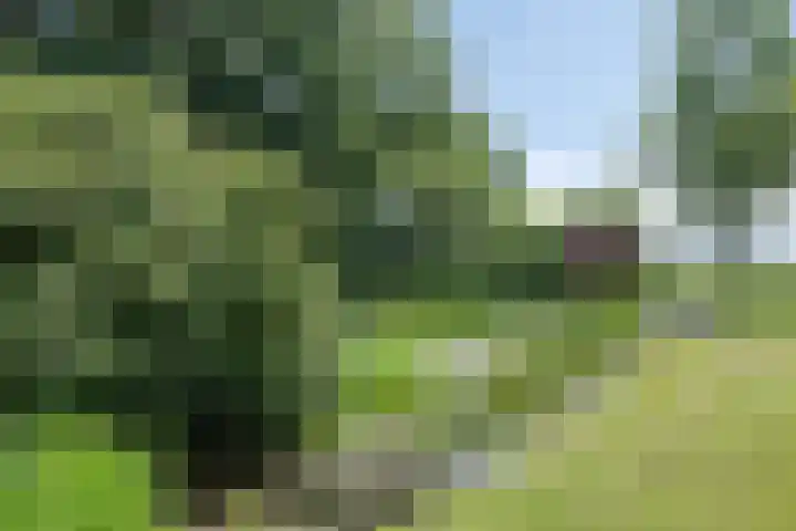 Bûterheideveld 27 Makkinga thumbnail 45