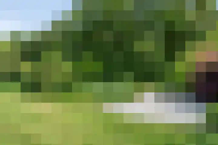 Bûterheideveld 27 Makkinga thumbnail 46