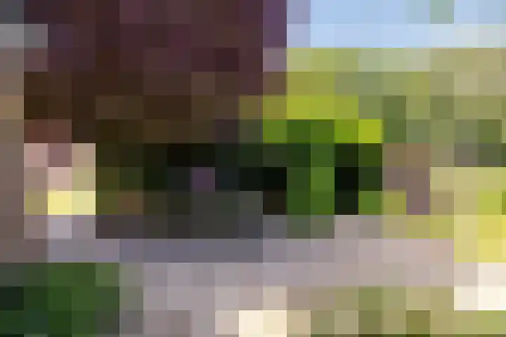 Bûterheideveld 27 Makkinga thumbnail 47