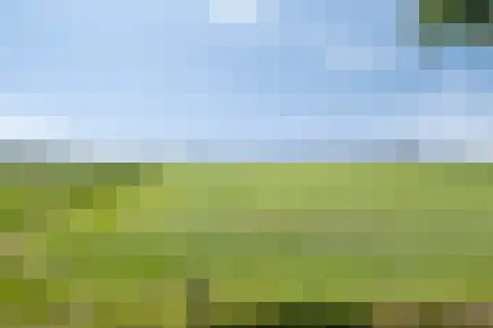 Bûterheideveld 27 Makkinga thumbnail 49
