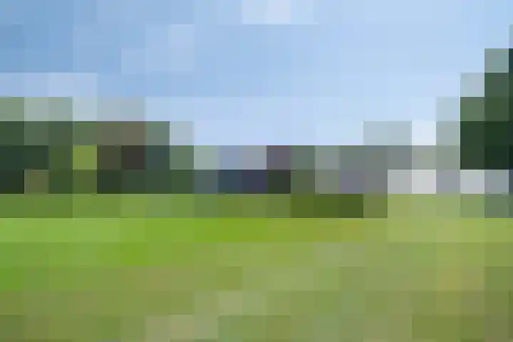 Bûterheideveld 27 Makkinga thumbnail 50