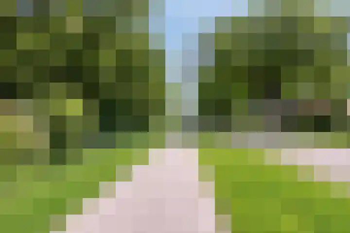 Bûterheideveld 27 Makkinga thumbnail 51