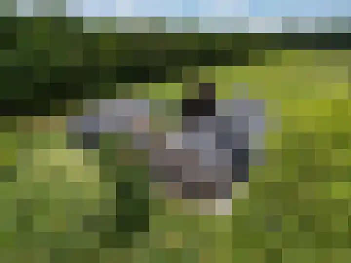 Bûterheideveld 27 Makkinga thumbnail 59
