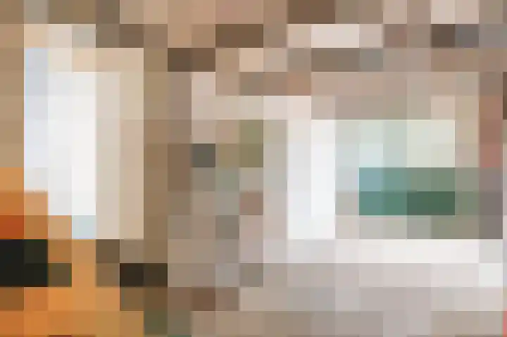 Bûterhoeke 10 Berltsum thumbnail 33