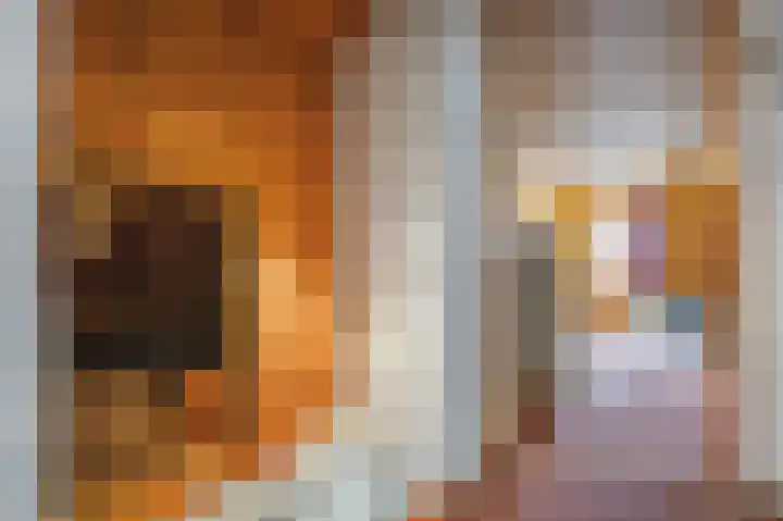Bûterhoeke 10 Berltsum thumbnail 35