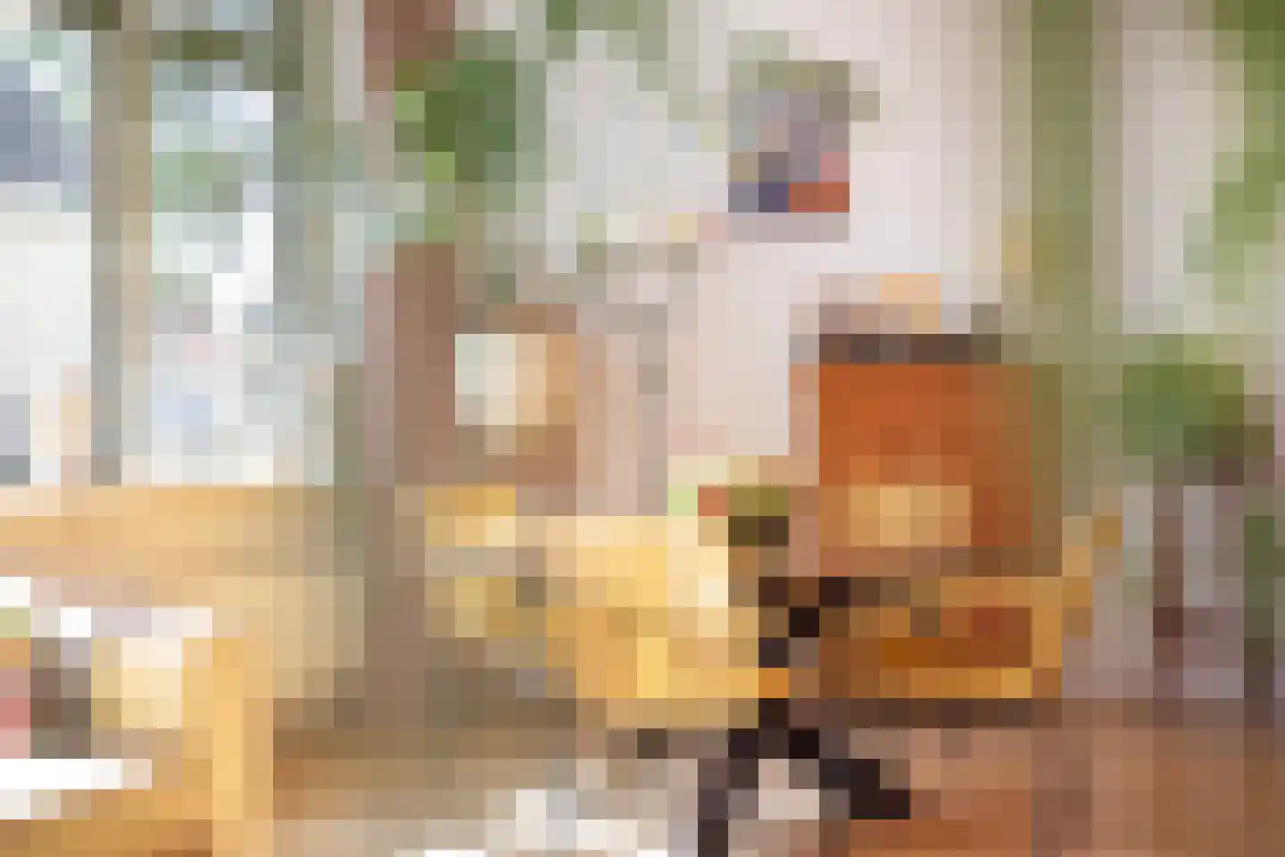 Bûterhoeke 26 Heeg thumbnail 15