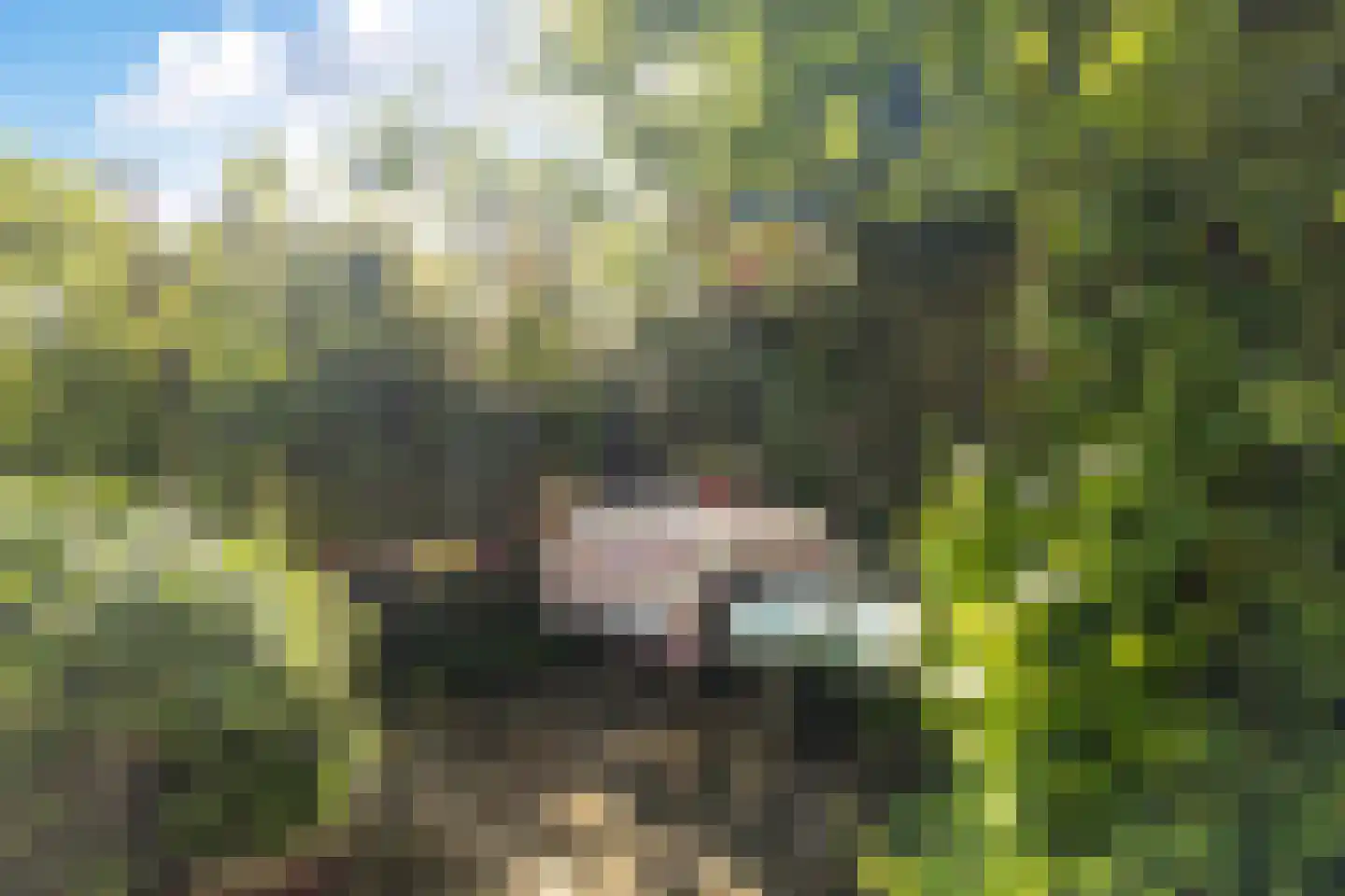 Bûterhoeke 26 Heeg thumbnail 40
