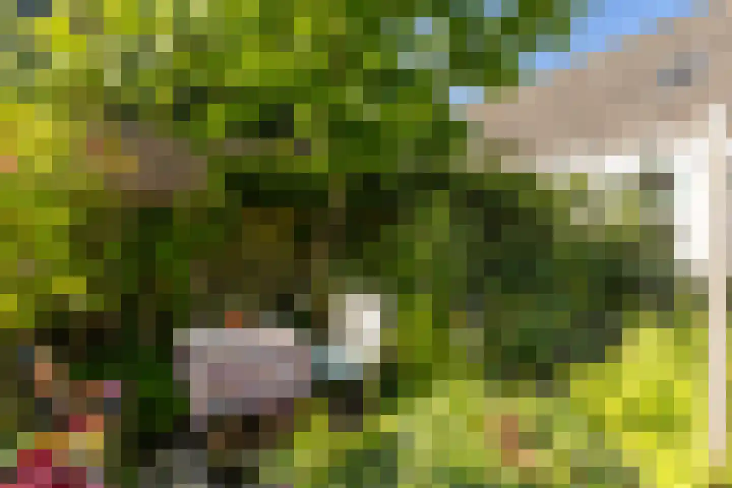 Bûterhoeke 26 Heeg thumbnail 41