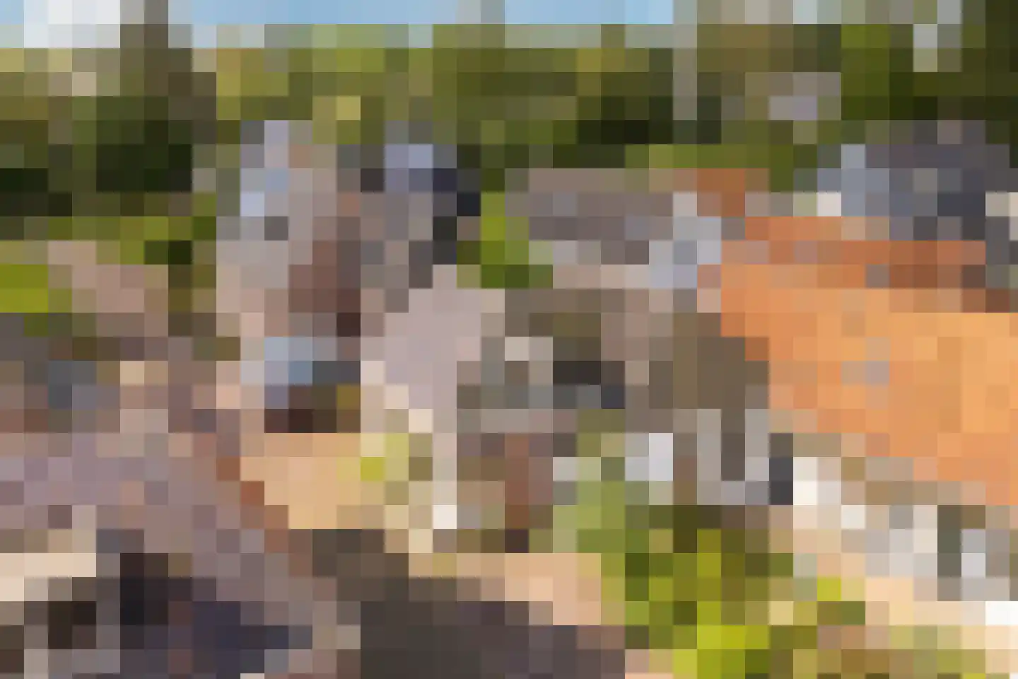 Bûterhoeke 26 Heeg thumbnail 44
