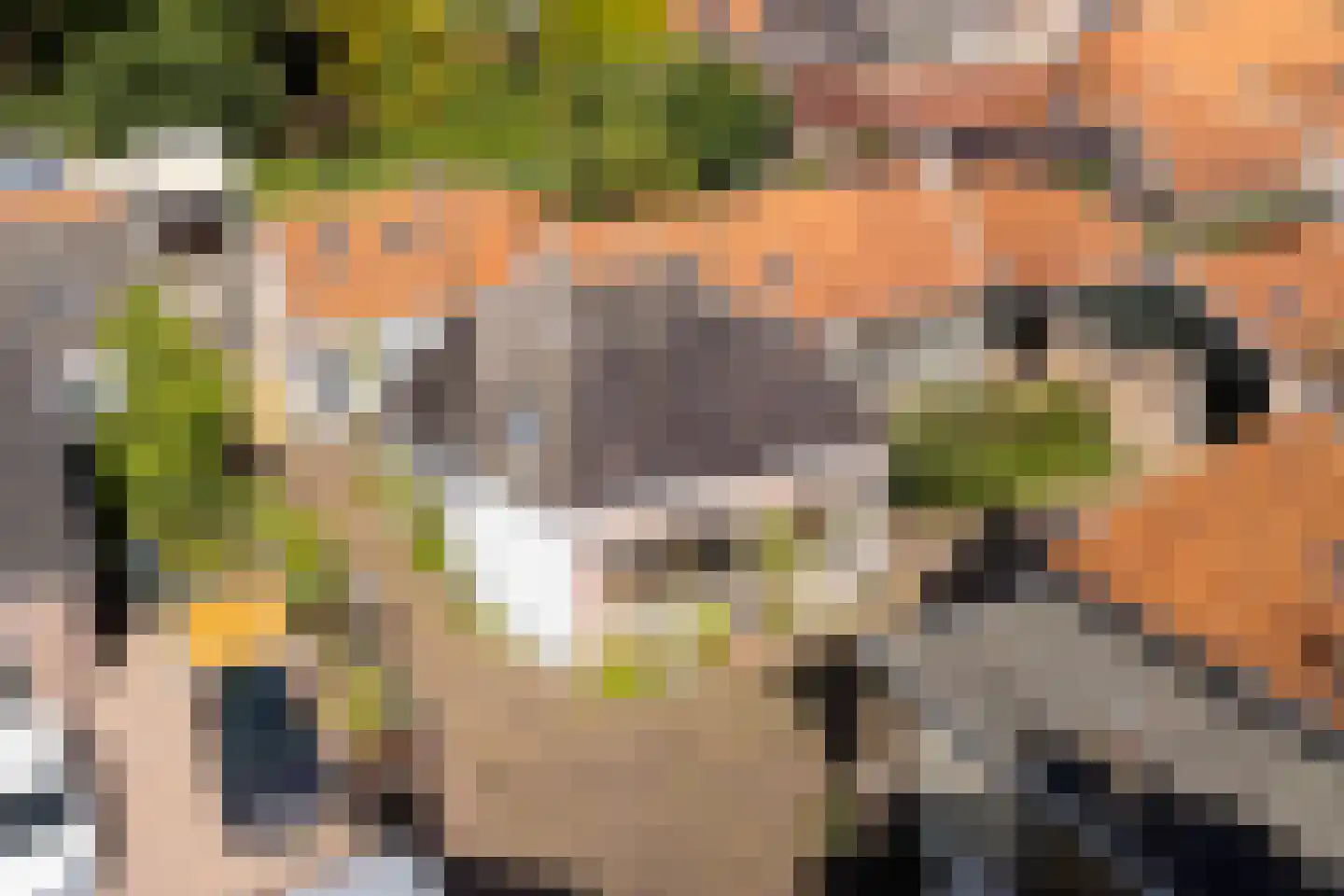 Bûterhoeke 26 Heeg thumbnail 45
