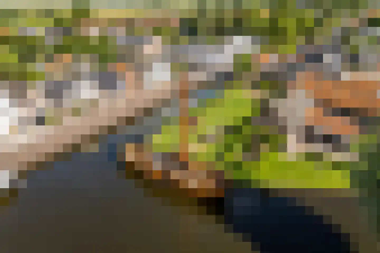 Bûterhoeke 26 Heeg thumbnail 49